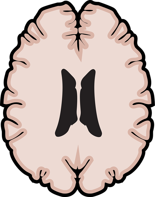holistic mental health