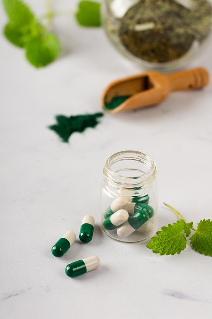 holistic mental health