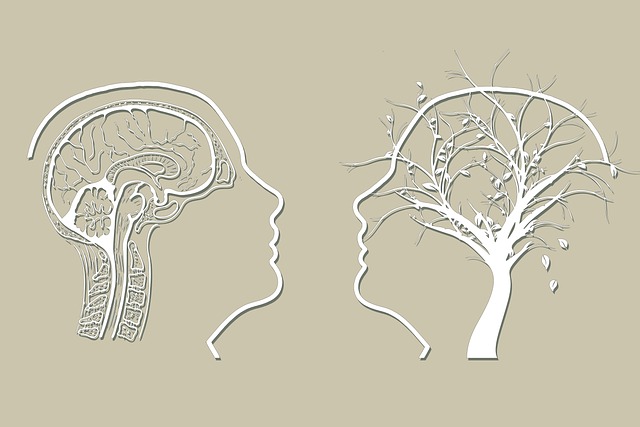 holistic-mental-health-640x480-94276775.jpeg