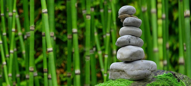 holistic wellness Austin