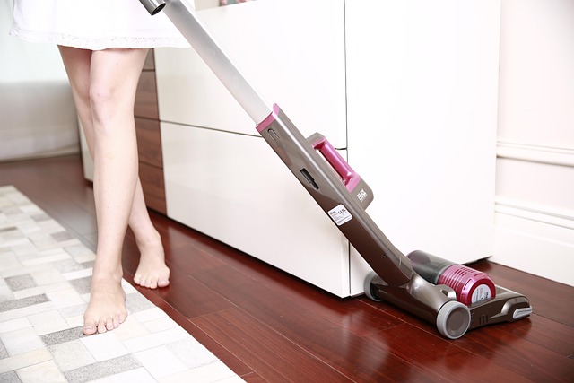 house carpet cleaners