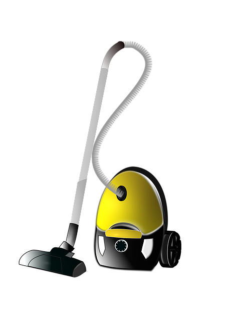 house carpet cleaners
