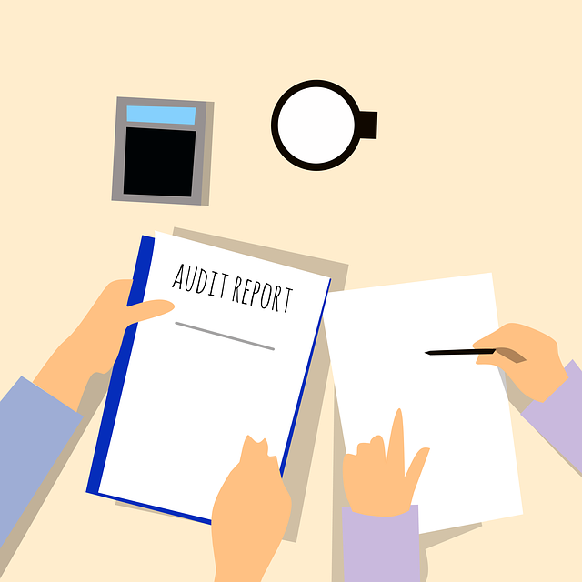how to use internal link audit