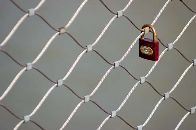 how to use internal link audit
