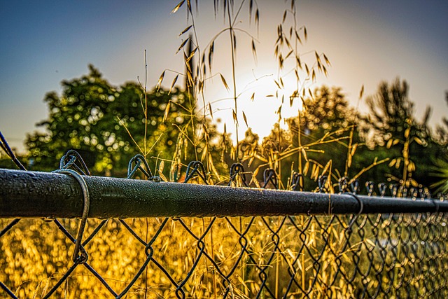 how to use internal link audit