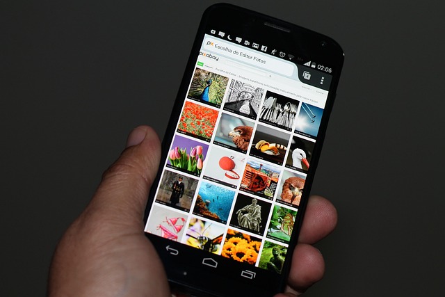 Improve Organic Search Rankings