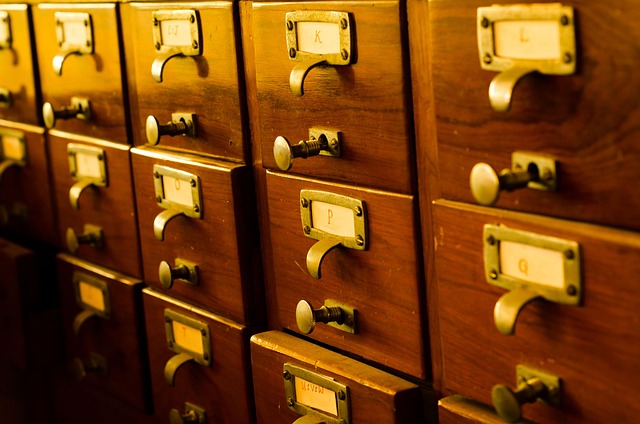 Improve Organic Search Rankings