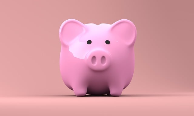 income disparity mediation