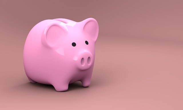 income disparity mediation