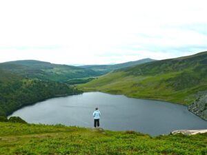 Divorce Transition Coaching: Navigating Emotional Recovery with Professional Support