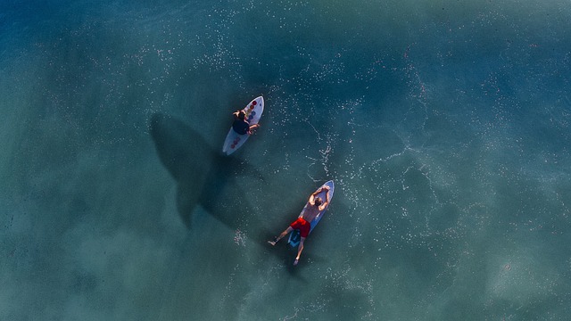 inflatable paddle board