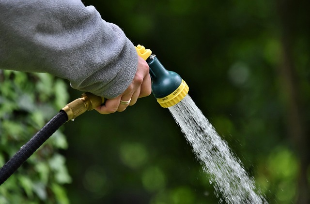 insect control services