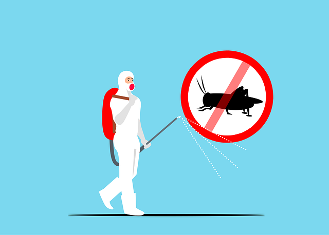 insect control services