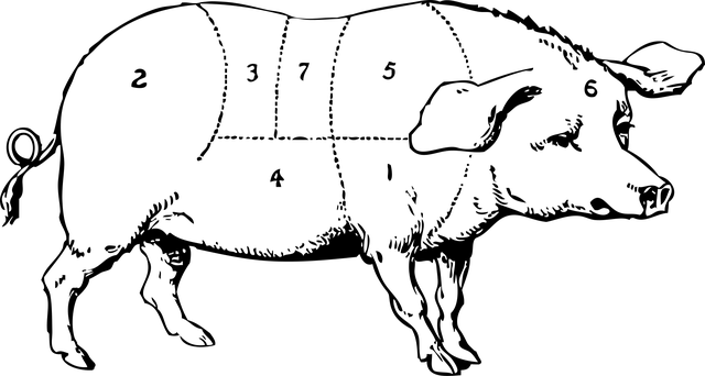 Instructional Schema Markup