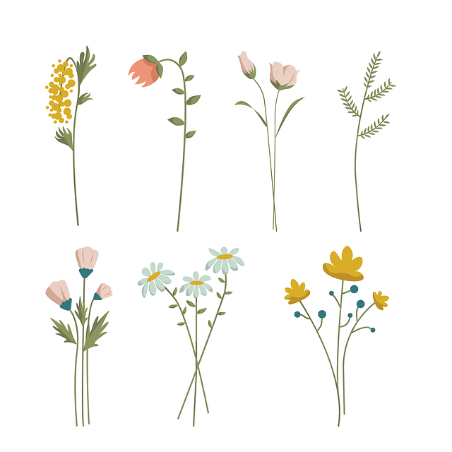 insurance for aesthetic practices