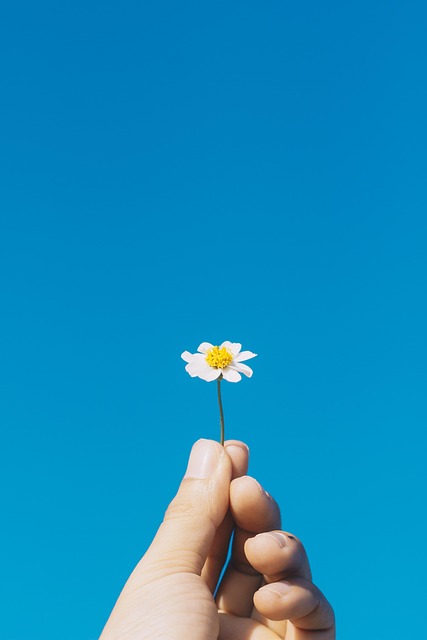 insurance for aesthetic practices