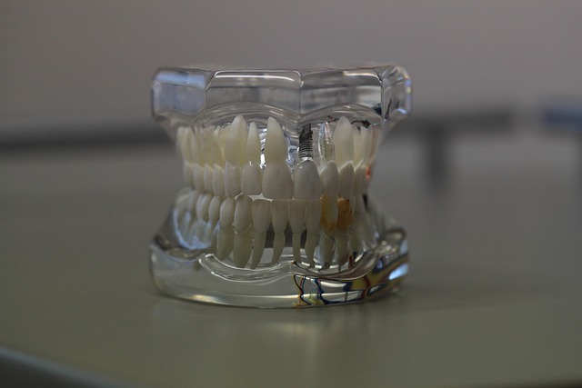 insurance for dental businesses