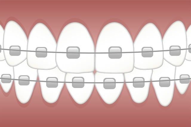 insurance for dental businesses