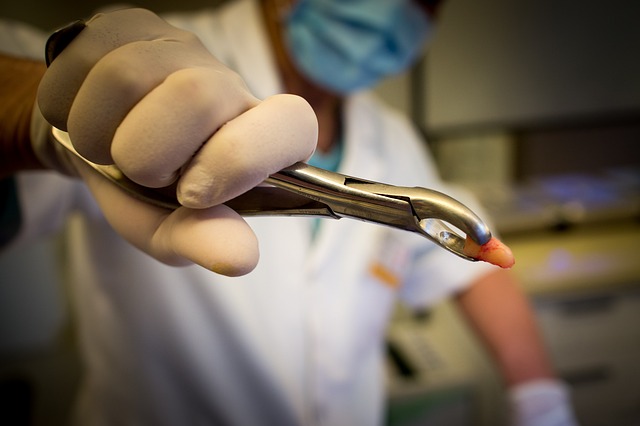 insurance for dental offices