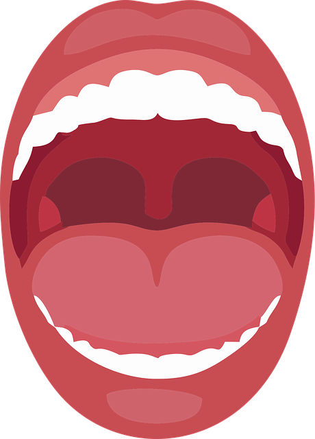 insurance for dental professionals
