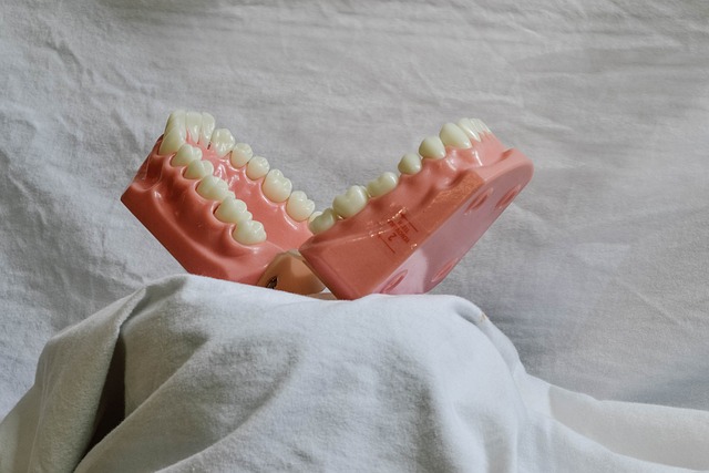 insurance for dental professionals