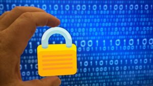 Navigating Insurance for Your Home-Based Business: Essential Protection Guide