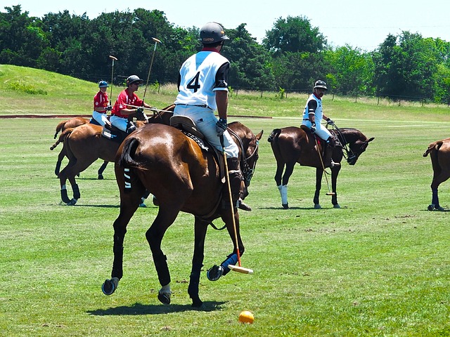 integrative wellness Austin
