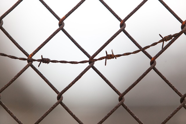 Boost WordPress Site Structure: Smart Internal Linking Audit