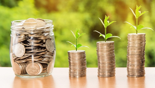 investment division support