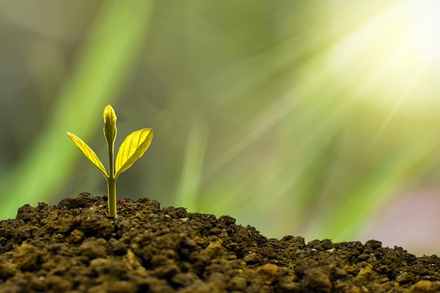 investment division support