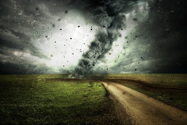 IT disaster protection