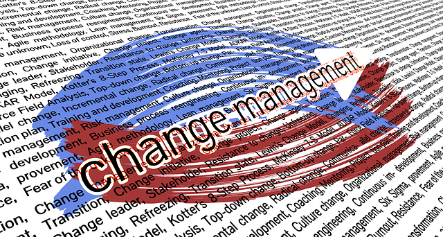 IT risk management accounting