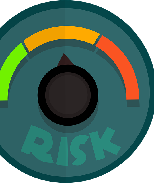 IT risk management accounting