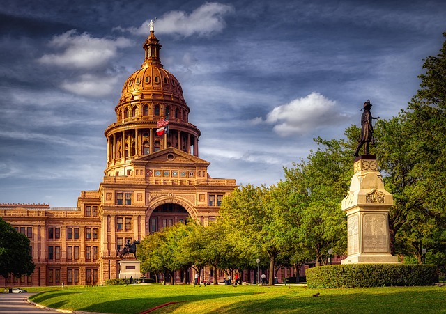 IVF acupuncture Austin