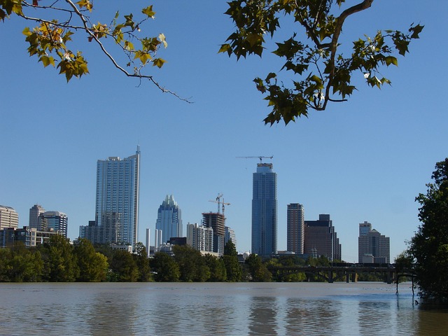 IVF acupuncture Austin
