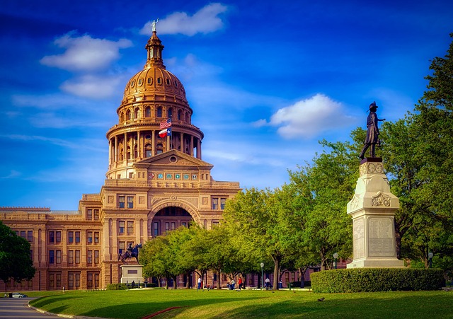IVF acupuncture Austin