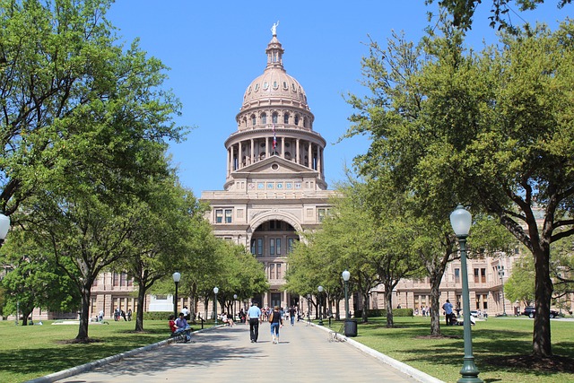 IVF acupuncture Austin