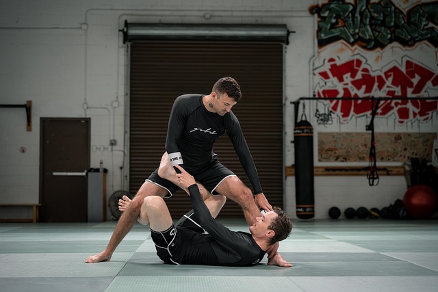 learn BJJ from scratch AZ