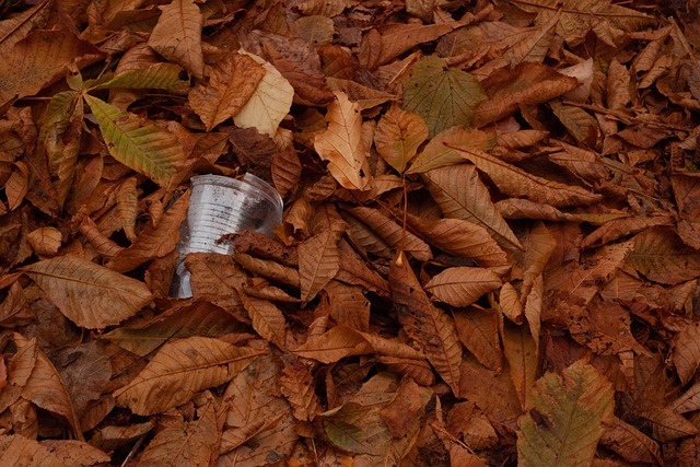 liability for plastic surgeons