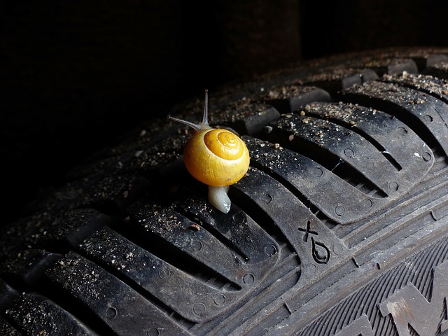 liability insurance for DDS