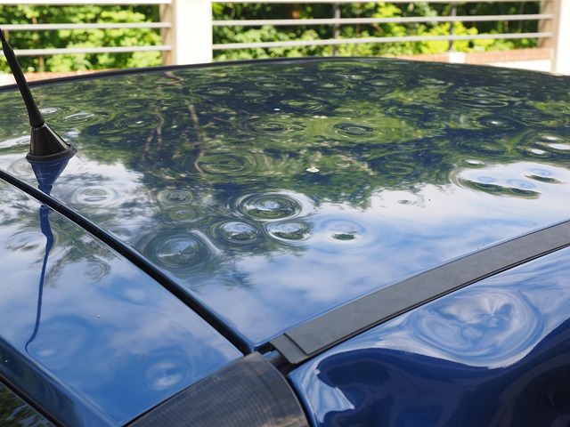liability insurance for DDS