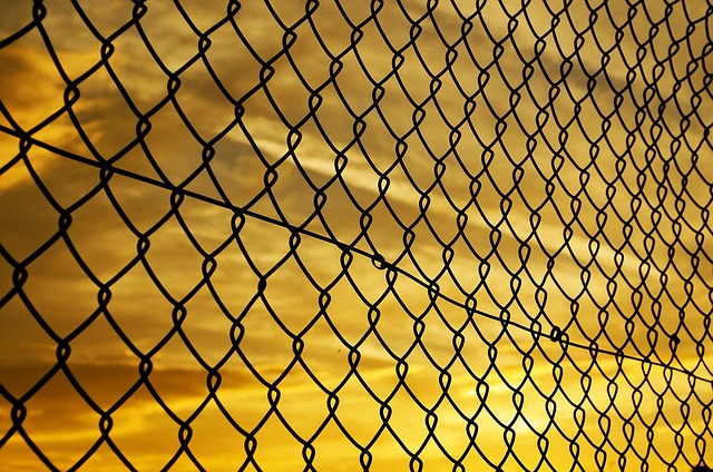 Link Building