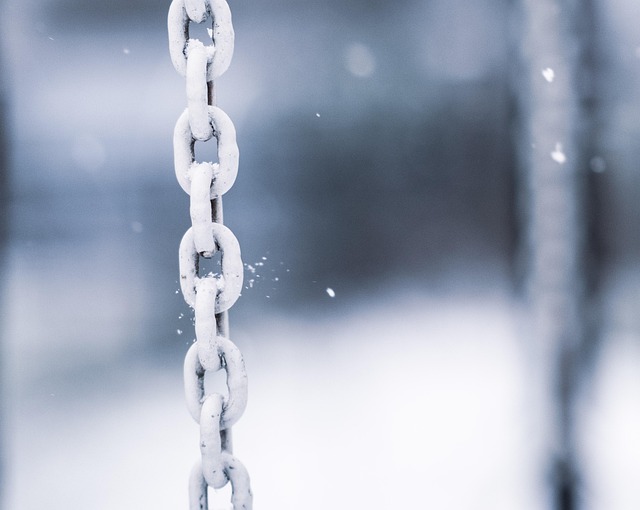 Link Building