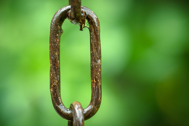 Link Building