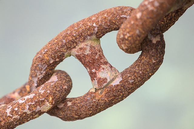 Link Building