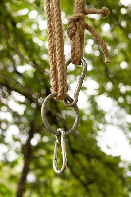 Link Building