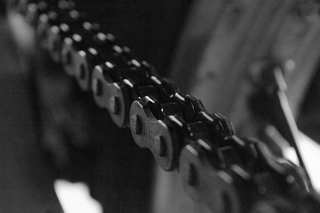 Link Building