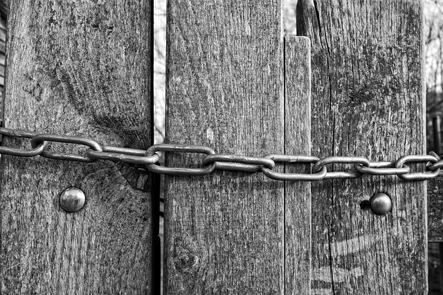 Link Building
