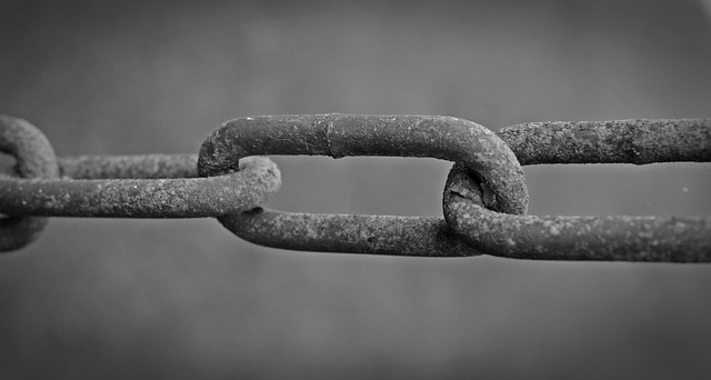 Link Building