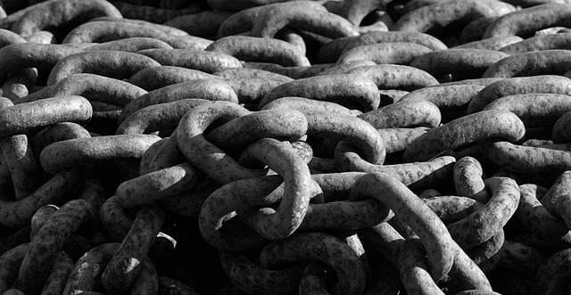 Link Building